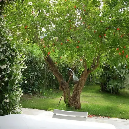 Welcomely - Natural Garden *
